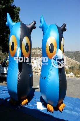 דמות ינשוף - קווי לילה