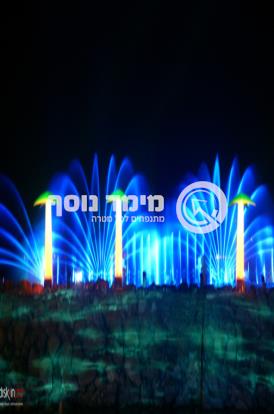 דקלים מתנפחים